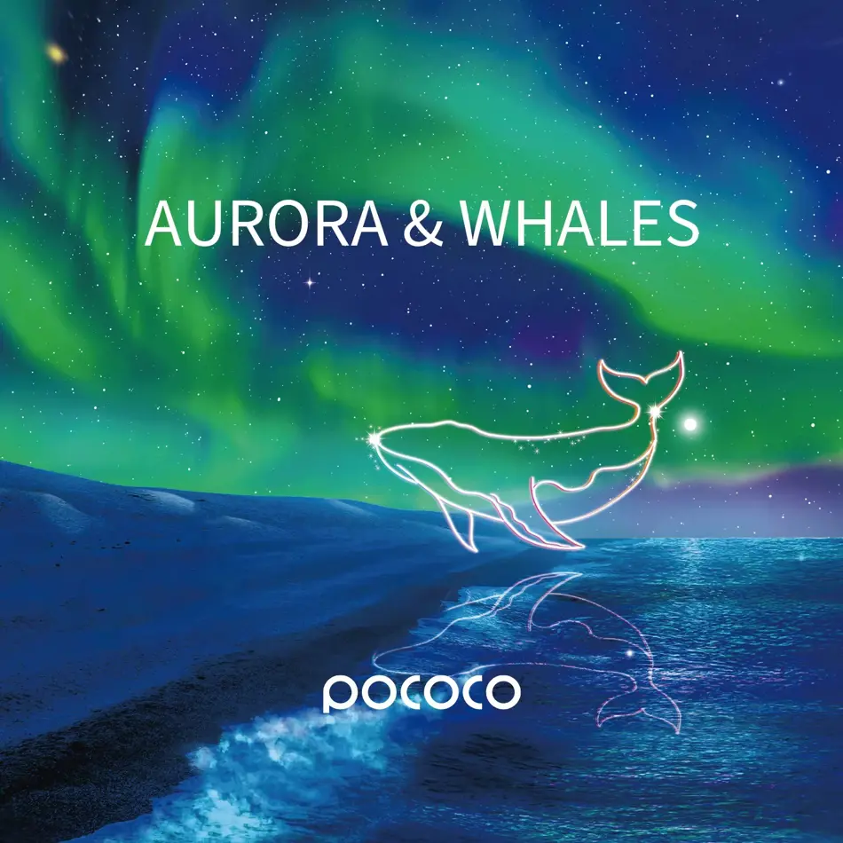 Aurora & Deep Sea Galaxy Projector Discs – 5K Ultra HD Reels for POCOCO, 6-Pack (No Projector)
