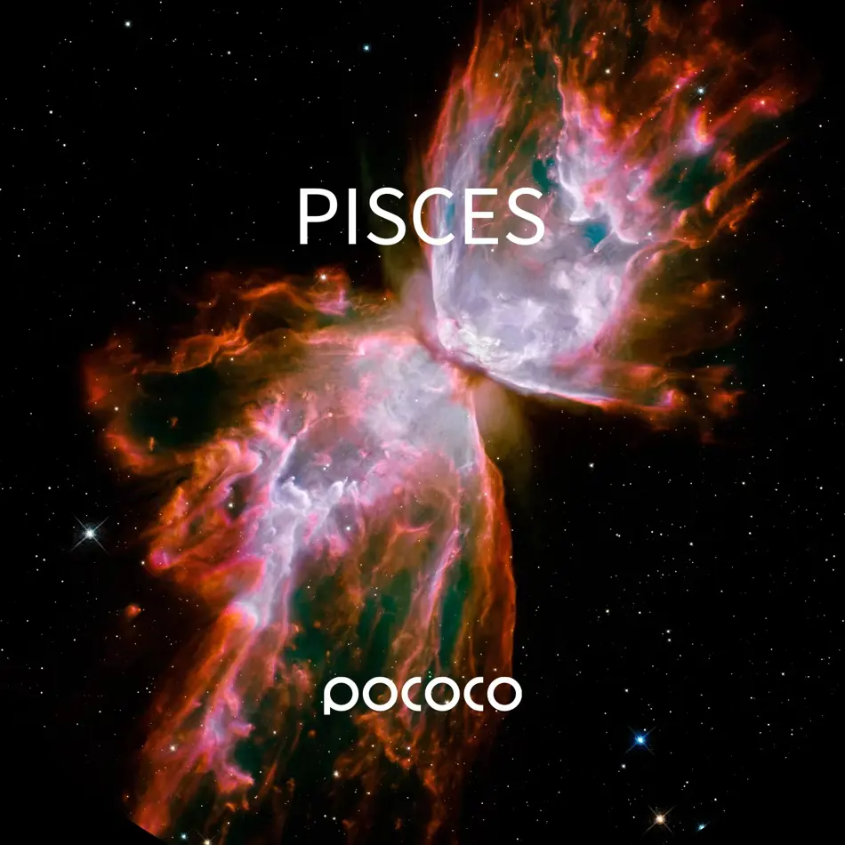 Realistic Constellation Disc Set for POCOCO Galaxy Projector – 6 Ultra HD 5K Star Map Slides - Set-2 (Projector Not Included)